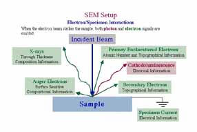 statswork SEM-Analysis