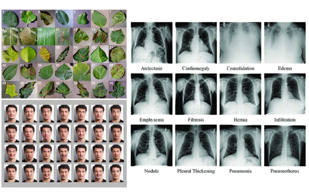 Image-data-collection