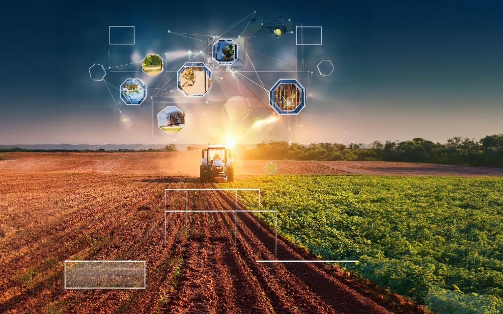 Agricultural Data Collection