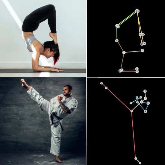 human posture video datsset