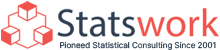 logo-statswork