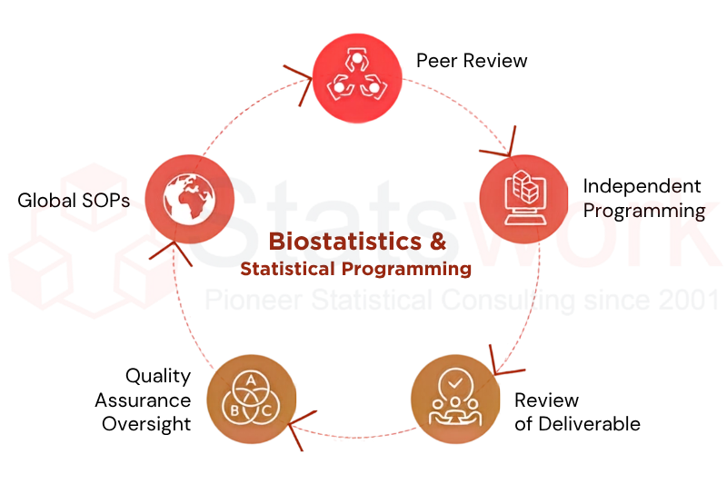 statistical programming outsourcing