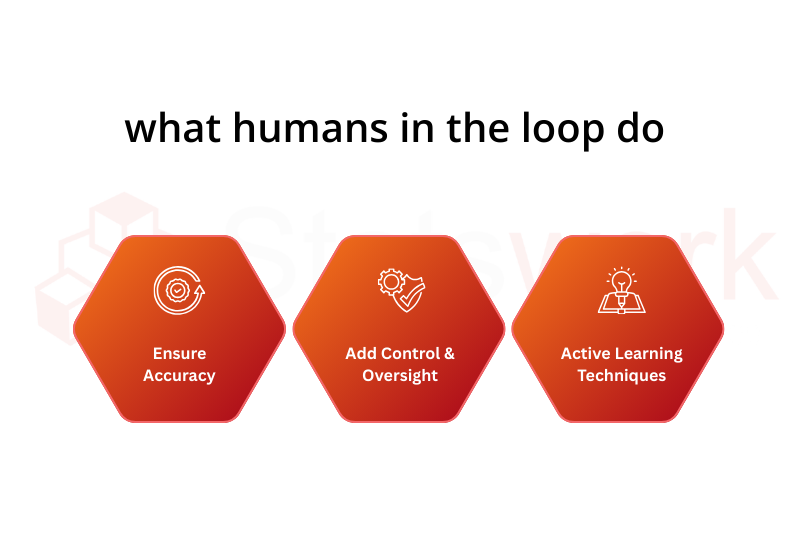 what humans loop do