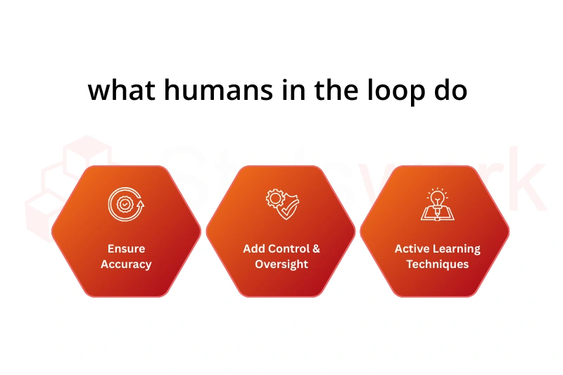 Human-in-the-Loop AI Evaluation