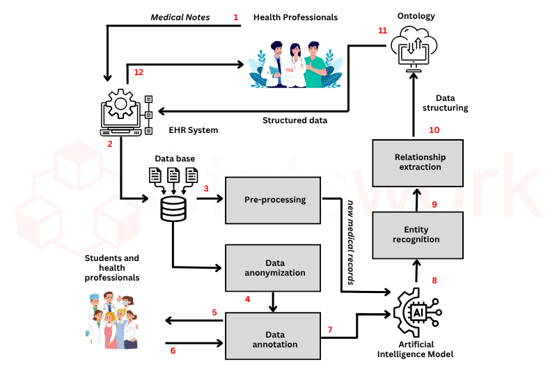 NER Process