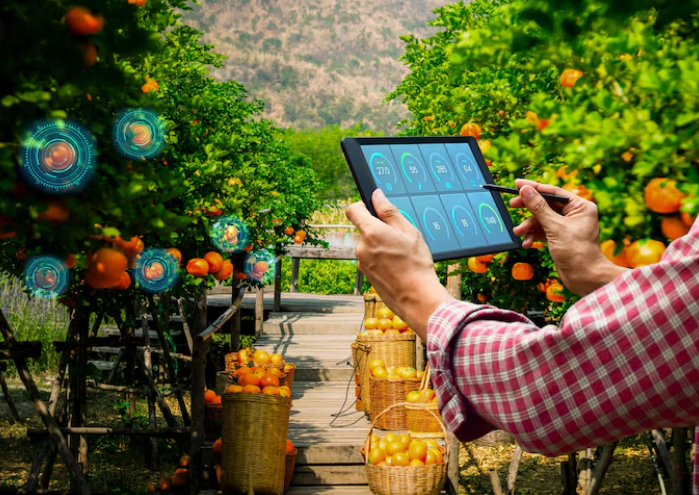 Application of Annotating Principles in agriculture dataset