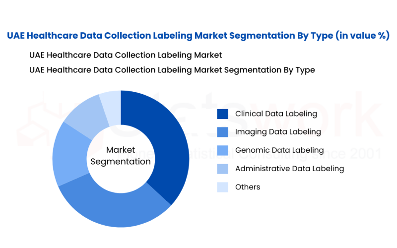 secondary data collection in market research studies